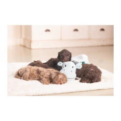 Beeztees Puppy Schmusetuch Drache 11 Beeztees Puppy Schmusetuch Drache -Spielzeug Pet beeztees puppy knuffeldoek draak 225212 2000 none