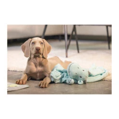 Beeztees Puppy Schmusetuch Drache 12 Beeztees Puppy Schmusetuch Drache -Spielzeug Pet beeztees puppy knuffeldoek draak 225215 2000 none