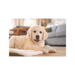 Beeztees Welpenspielball Denise -Spielzeug Pet beeztees puppy speelbal denise 228096 1000 none