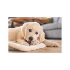 Beeztees Welpenspielball Denise -Spielzeug Pet beeztees puppy speelbal denise 228097 1000 none