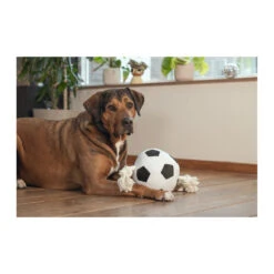 Beeztees Fußball Mit Seil -Spielzeug Pet beeztees voetbal met touw 227661 1000 none
