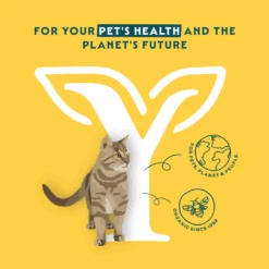 Yarrah Bio Adult Katzenfutter - Huhn -Spielzeug Pet bfffpmOLo9l4yYLbjfK005Z8nfjPGc metaMTcwMDQtfjEuUE5H