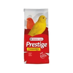 Versele-Laga Prestige Vogelfutter Für Kanarienvögel 6 Versele-Laga Prestige Vogelfutter Für Kanarienvögel -Spielzeug Pet c8f6ac24665fa99f1b8d72b1d0091eea6c08ebbf27e2ce491f0148c34ac339b0 4