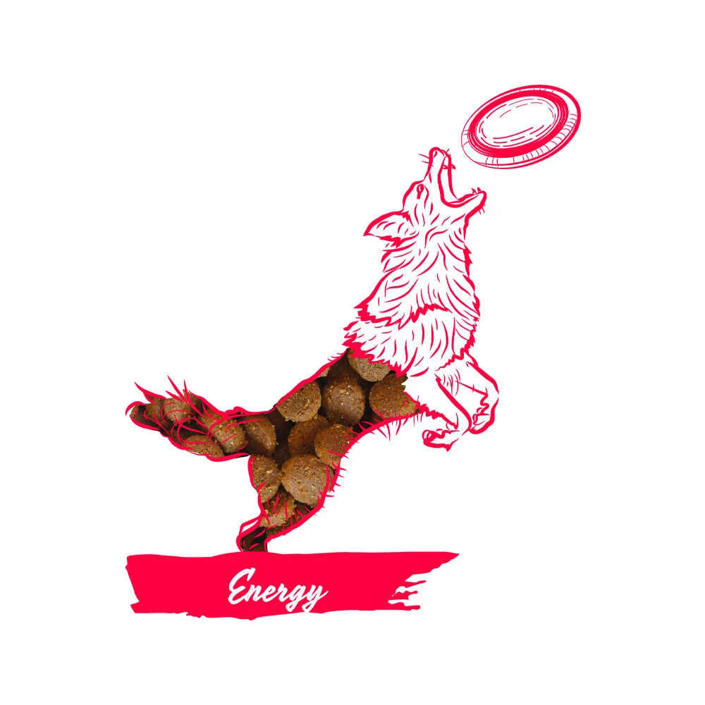 Calibra Expert Nutrition Energy Hundefutter - Huhn & Reis 2 Calibra Expert Nutrition Energy Hundefutter - Huhn & Reis – Bild 2