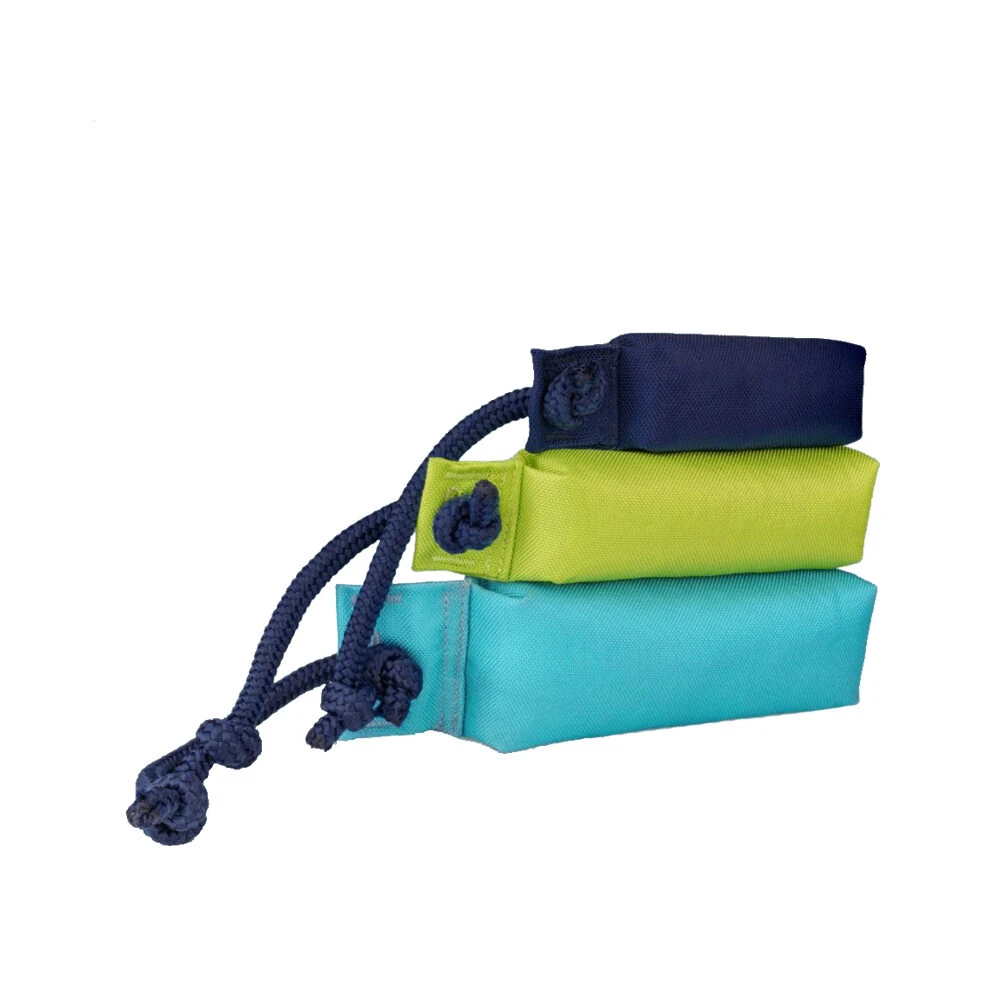 Company Of Animals Coachi Trainingspuppe 6 Company Of Animals Coachi Trainingspuppe – Bild 6