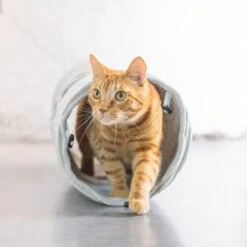 Designed By Lotte Katzentunnel Reza 34 Designed By Lotte Katzentunnel Reza -Spielzeug Pet designed by lotte kattentunnel reza 229771 0500 none