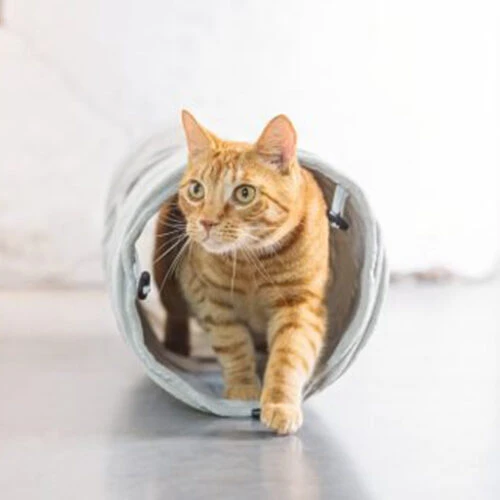 Designed By Lotte Katzentunnel Reza 16 Designed By Lotte Katzentunnel Reza – Bild 16