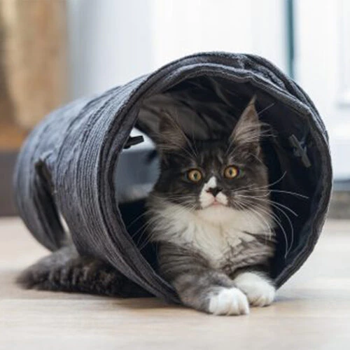 Designed By Lotte Katzentunnel Reza 17 Designed By Lotte Katzentunnel Reza – Bild 17