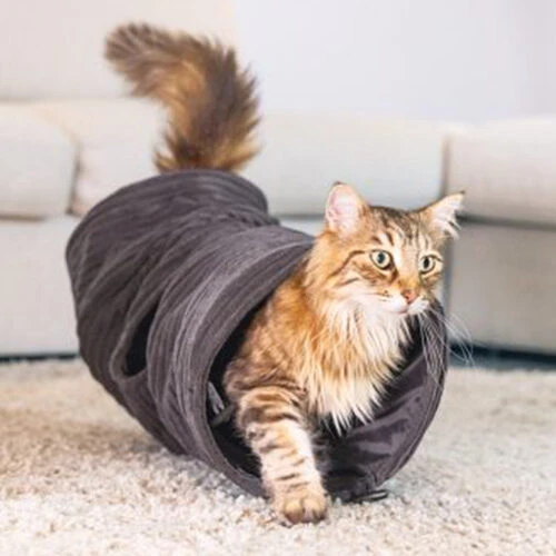 Designed By Lotte Katzentunnel Reza 18 Designed By Lotte Katzentunnel Reza – Bild 18