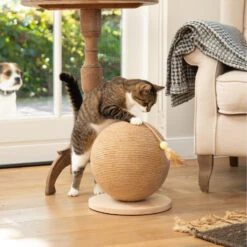 Designed By Lotte Kratzball Holz Balty 6 Designed By Lotte Kratzball Holz Balty -Spielzeug Pet designed by lotte krabbol balty 164809 2000 none