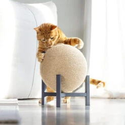 Designed By Lotte Krabbol Tyra -Spielzeug Pet designed by lotte krabbol tyra 222831 0500 none