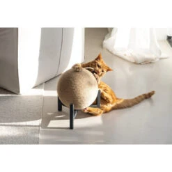 Designed By Lotte Krabbol Tyra -Spielzeug Pet designed by lotte krabbol tyra 222832 0500 none