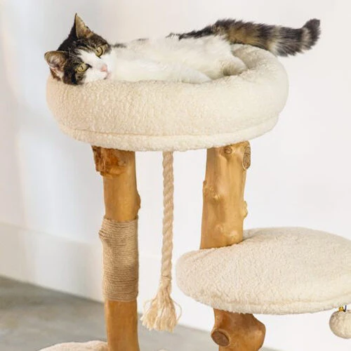 Designed By Lotte Kratzmöbel Vanja 2 Designed By Lotte Kratzmöbel Vanja – Bild 2