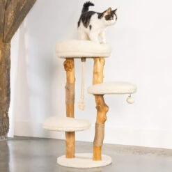 Designed By Lotte Kratzmöbel Vanja