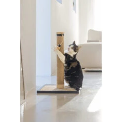 Designed By Lotte Kratzbaum Vyda -Spielzeug Pet designed by lotte krabpaal vyda 222826 1000 none