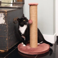 Designed By Lotte Kratzbaum Yenna 14 Designed By Lotte Kratzbaum Yenna -Spielzeug Pet designed by lotte krabpaal yenna 164443 2000 none