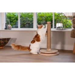 Designed By Lotte Kratzbaum Zavi -Spielzeug Pet designed by lotte krabpaal zavi 226318 1000 none