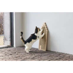 Designed By Lotte Kratzbrett Berit -Spielzeug Pet designed by lotte krabplank berit 222714 2000 none