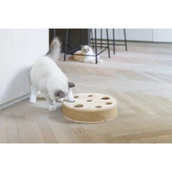 Designed By Lotte Raya Katzenspielzeug -Spielzeug Pet designed by lotte raya kattenspeelgoed 226302 0500 none