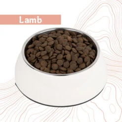 Antelope Fresh Adult Hundefutter -Spielzeug Pet dnlmZiK5CGm1AT44rBAIQzpXogTZ11 metaYW50ZWxvcGVfZnJlc2hfYWR1bHRfaG9uZGVudm9lcl9sYW1iLmpwZw