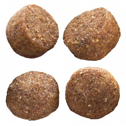 Euro Premium Adult Medium 4 Euro Premium Adult Medium – Bild 4