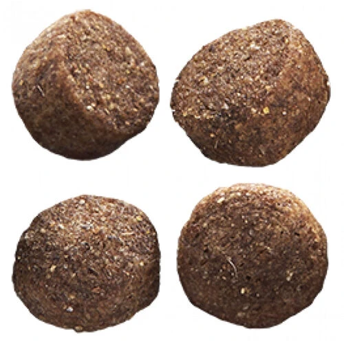 Euro Premium Adult Medium 5 Euro Premium Adult Medium – Bild 5