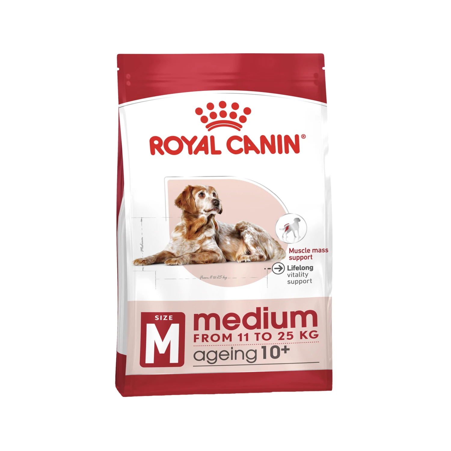 Royal Canin Medium Ageing 10+ Hundefutter 1 Royal Canin Medium Ageing 10+ Hundefutter