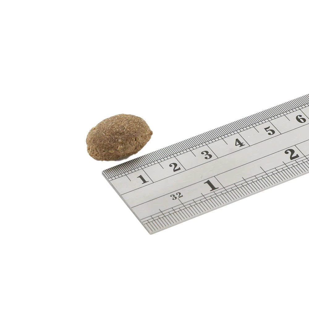 Fish4Dogs Finest Adult Complete Große Brocken Hundefutter - Sardine 3 Fish4Dogs Finest Adult Complete Große Brocken Hundefutter - Sardine – Bild 3