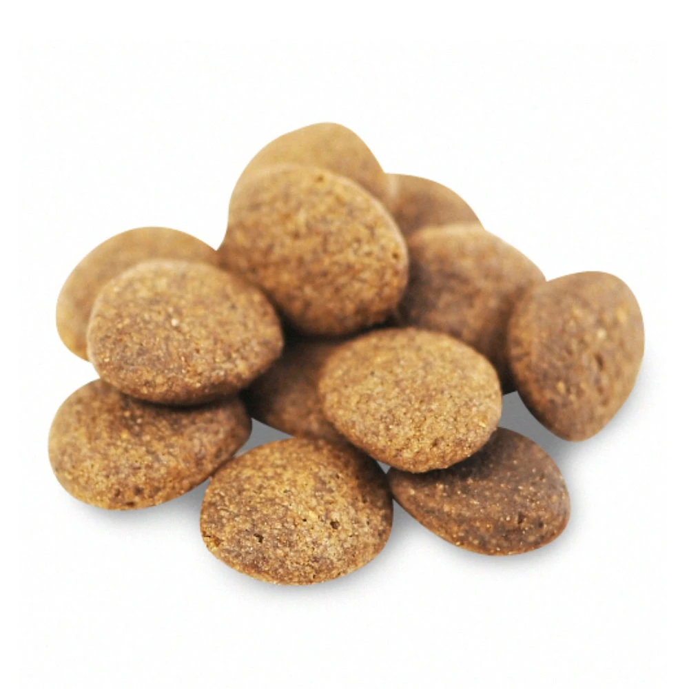 Fish4Dogs Finest Adult Complete Große Brocken Hundefutter - Weißfisch 2 Fish4Dogs Finest Adult Complete Große Brocken Hundefutter - Weißfisch – Bild 2