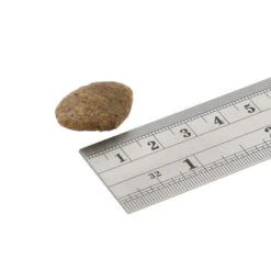 Fish4Dogs Finest Adult Complete Große Brocken Hundefutter - Weißfisch 7 Fish4Dogs Finest Adult Complete Große Brocken Hundefutter - Weißfisch -Spielzeug Pet fish4dogs finest adult complete witvis grote brok 160916 1000 none