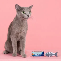 Fringe Tuna Right Meow -Spielzeug Pet fringe tuna right meow 230106 1000 none