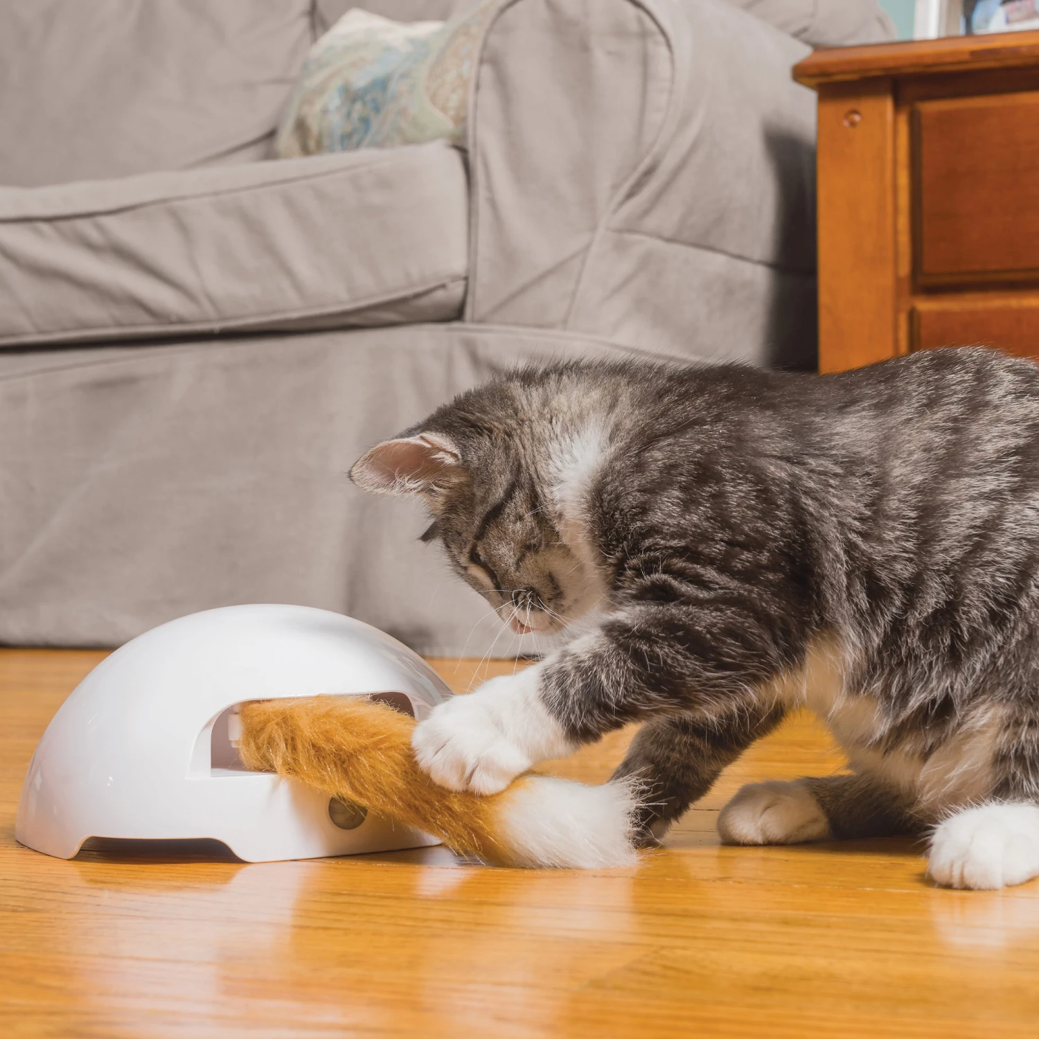 FroliCat Fox 6 FroliCat Fox – Bild 6