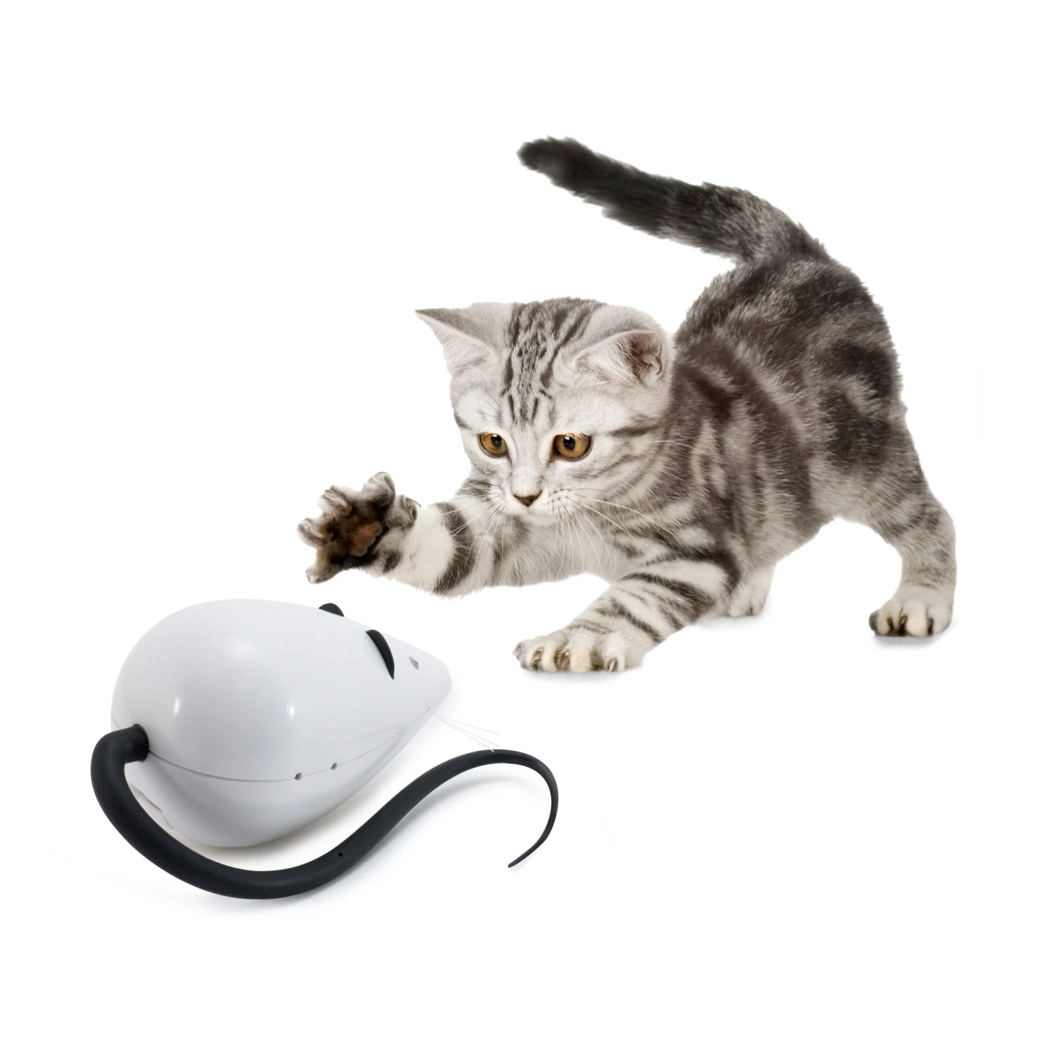 FroliCat RoloRat 3 FroliCat RoloRat – Bild 3