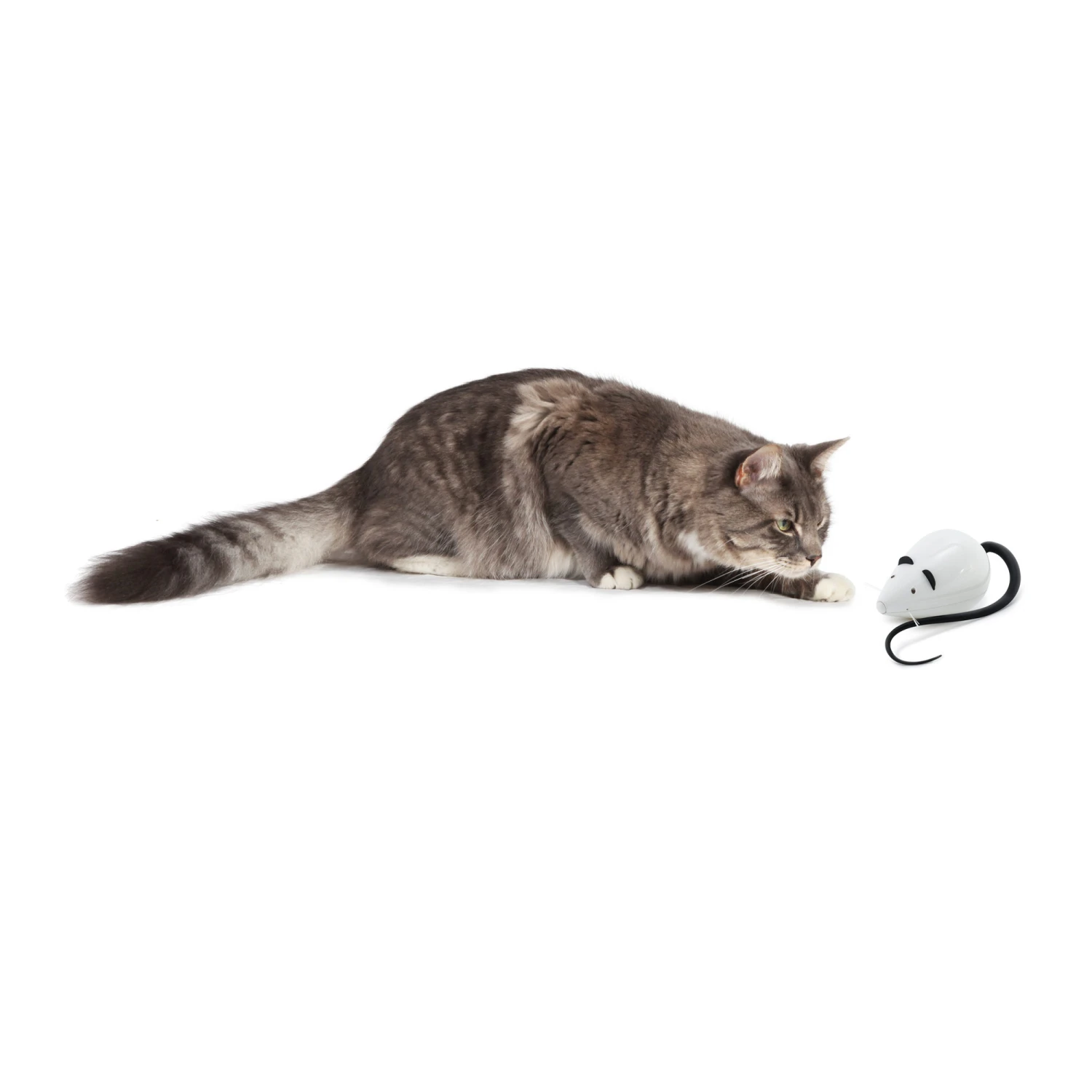 FroliCat RoloRat 4 FroliCat RoloRat – Bild 4