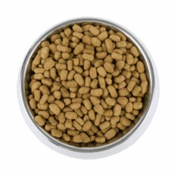 Vetality Weight Management - Hundefutter 13 Vetality Weight Management - Hundefutter -Spielzeug Pet gPiWLyBeuYpwRRP0A7fHyS3i0LWlN6 metaV2VpZ2h0IE1hbmFnbWVudCBiYWsucG5n