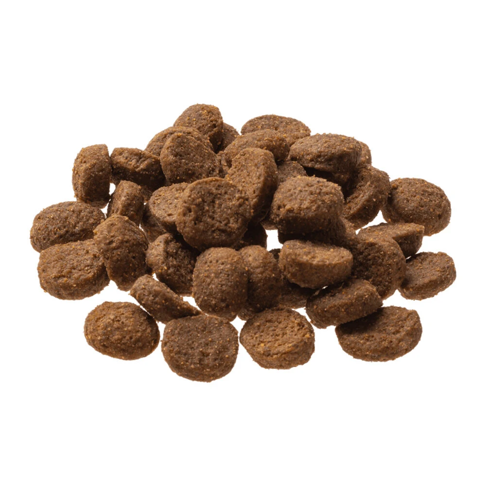 GranataPet Mini Royal Hundefutter - Geflügel 3 GranataPet Mini Royal Hundefutter - Geflügel – Bild 3