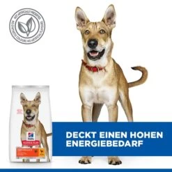 Hill's Science Plan Adult Performance Hundefutter 11 Hill's Science Plan Adult Performance Hundefutter -Spielzeug Pet h0IV9v9hNeYroTla0LQESzU0OOleQs metaNTI3NDIwMjYxMTRfMl9ERV81MDAuSlBH