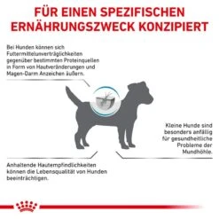 Royal Canin Anallergenic Kleiner Hund -Spielzeug Pet h7WCxLyi5meJYz9fY7OJpPAF8r0qOX metaUkNfVmV0X0FuYWxsZXJnZW5pY19TbWFsbF83X0RFLmpwZw