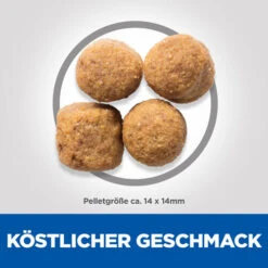 Hill's Science Plan Advanced Fitness Adult Large Breed Hundefutter 15 Hill's Science Plan Advanced Fitness Adult Large Breed Hundefutter -Spielzeug Pet hills science plan adult large chicken 218835 0500 none