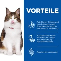Hill's Science Plan Adult Perfect Digestion Katzenfutter -Spielzeug Pet hills science plan adult perfect digestion kattenvoer 218333 0500 none