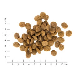 VegDog Green Crunch Hundefutter -Spielzeug Pet hj7YVjvbi9Oy6TMYJyNddrRjTVvXKx metaVmVnZG9nLUdyZWVuLUNydW5jaC02LmpwZw