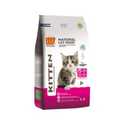 Biofood Kittenfutter 7 Biofood Kittenfutter -Spielzeug Pet i33eYrlatoxZcXQ57UWQ8a862SwzfL metaYmZwZXRmb29kX2tpdHRlbl8yMTA1MDZfMDUwMF9ub25lLmpwZw