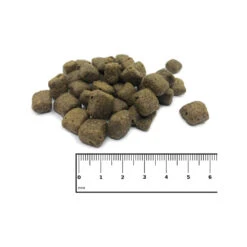 ICEPAW Adult Pure 6 ICEPAW Adult Pure -Spielzeug Pet icepaw adult pure 221026 1000 none