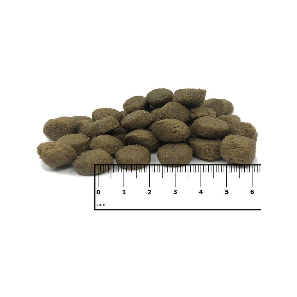 ICEPAW Polarhirsch 3 ICEPAW Polarhirsch – Bild 3