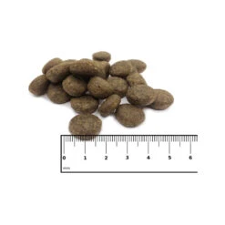 ICEPAW Scandic Duck 6 ICEPAW Scandic Duck -Spielzeug Pet icepaw scandic duck 221035 1000 none