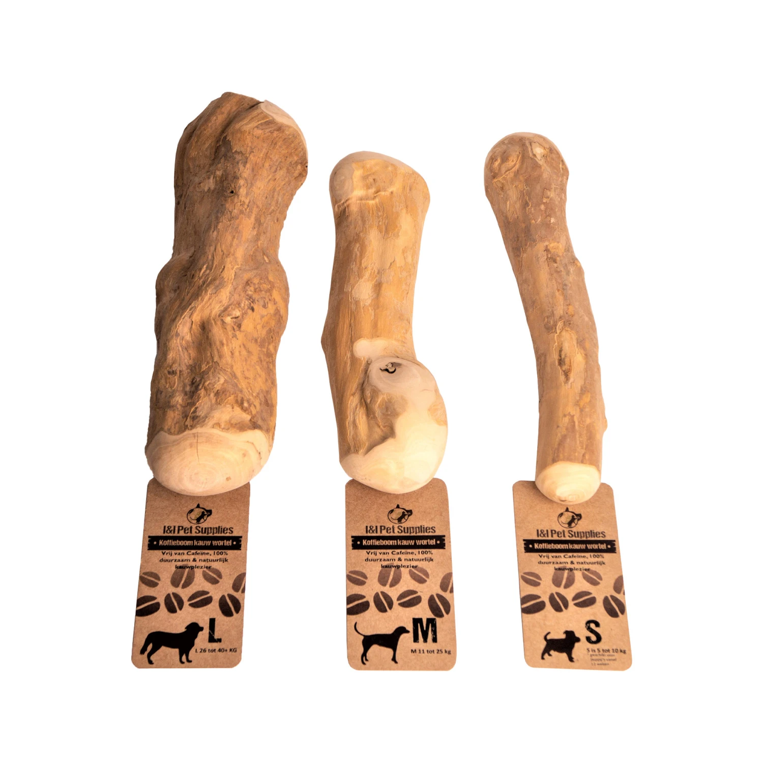 I&I Pet Supplies Kaffeebaum Kauwurzel 9 I&I Pet Supplies Kaffeebaum Kauwurzel – Bild 9