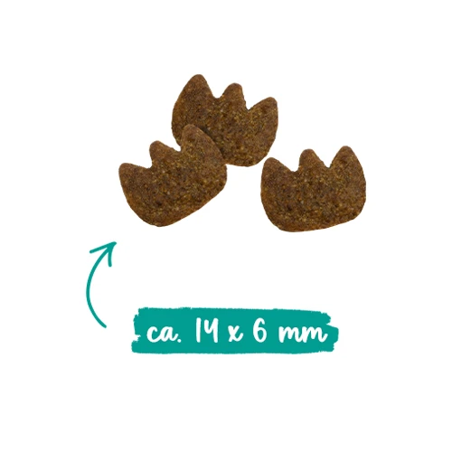 Sanabelle Dental 2 Sanabelle Dental – Bild 2