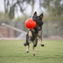 Jolly Soccer Ball -Spielzeug Pet jolly soccer ball 162241 0500 none