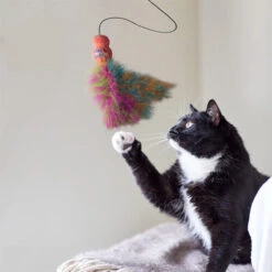 KONG Cat Wubba Boa Katzenangel -Spielzeug Pet kong cat wubba boa kattenhengel 228630 0500 none