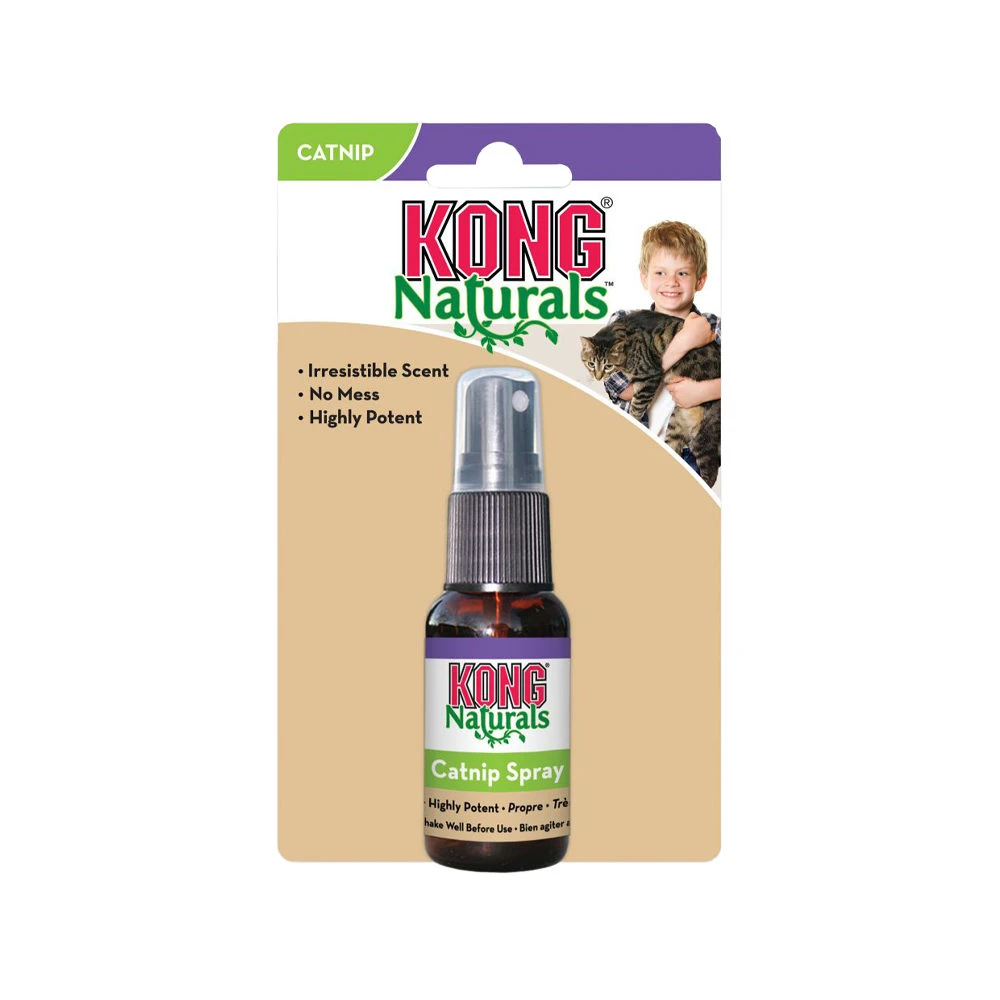 KONG Cat - Catnip Spray 2 KONG Cat - Catnip Spray – Bild 2